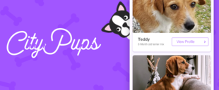 CityPups - Help users find the perfect dog to adopt.